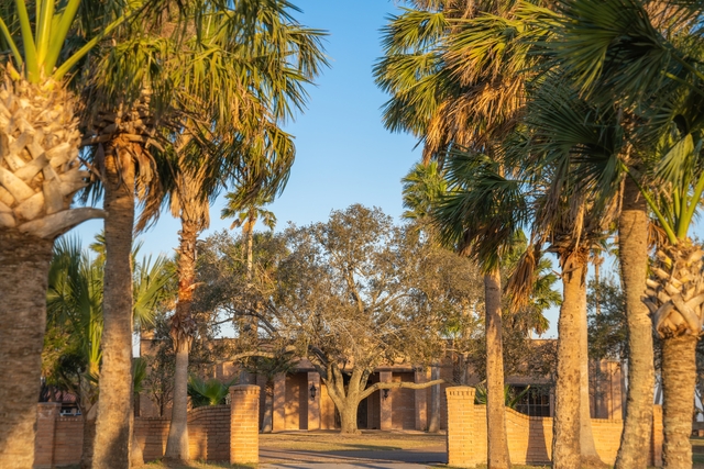 south texas safari